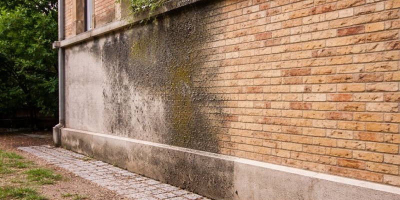 Facciata in mattoni a Parma prima e dopo sabbiatura con rimozione di muffa e sporco causati dall’umidità invernale.